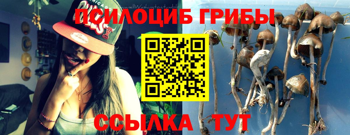 Люберцы  Псилоцибиновые грибы прущие грибы  Вход с VPN 